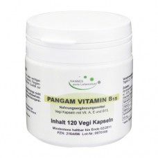 PANGAM Vitamin B15 Kapseln 120 St